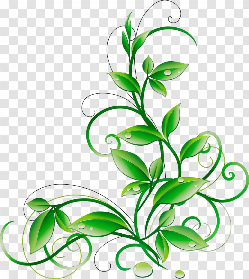 Flower Art Watercolor - Branch - Plant Stem Botany Transparent PNG