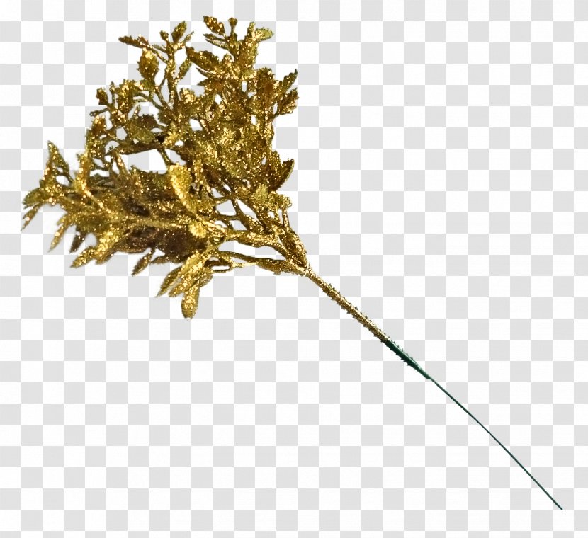 Twig Plant Stem Gold Leaf - Tree Transparent PNG