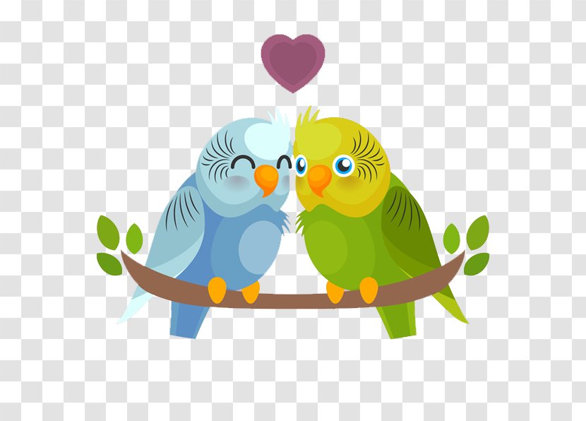 Bird Budgerigar Parrot - Beak - Colored Lovers Transparent PNG