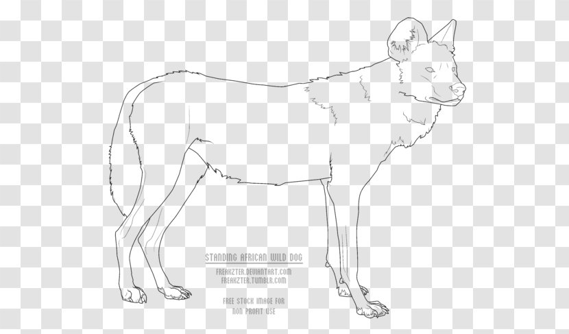 Dog Breed African Wild Line Art Drawing Transparent PNG