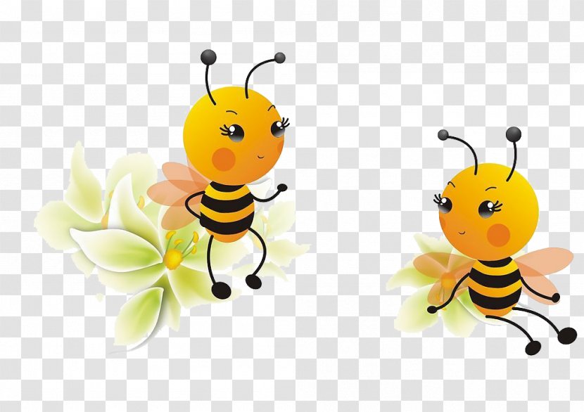 Guizhou Apis Cerana Apidae Beehive - Bee Transparent PNG