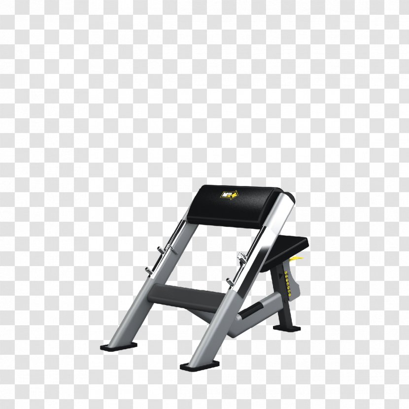 Bench Press Weightlifting Machine Exercise Physical Fitness - Watercolor - Correct Squat Form Transparent PNG
