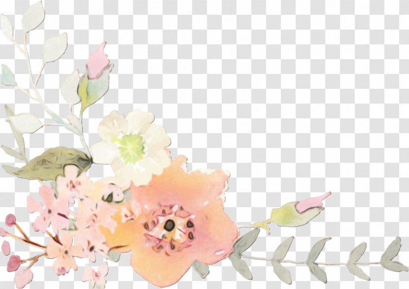 Floral Design - Cut Flowers - Spring Transparent PNG