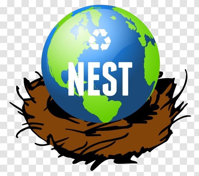 Bird Nest Clip Art - Brand Transparent PNG