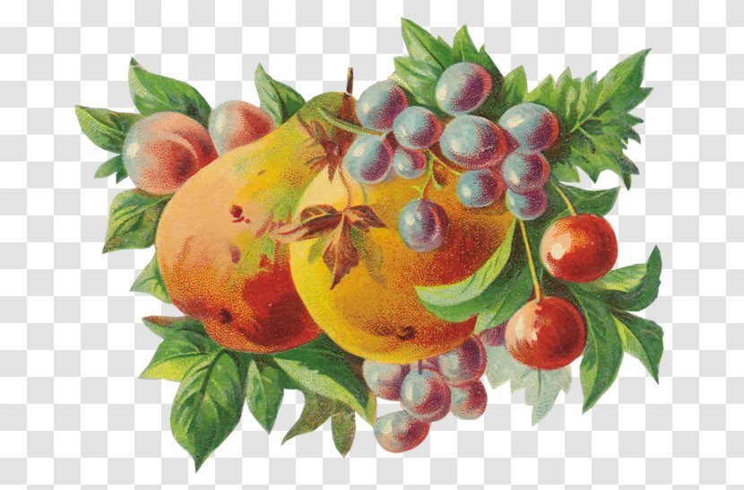 Apple Berry Fruit Vegetarian Cuisine Pear - Food Transparent PNG