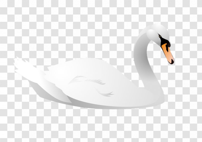 Cygnini Bird Cartoon Animal Illustration - Duck - Swan Vector Transparent PNG