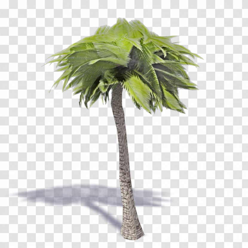 Asian Palmyra Palm Flowerpot IKEA FAMILY Artificial Flower - Coconut Transparent PNG