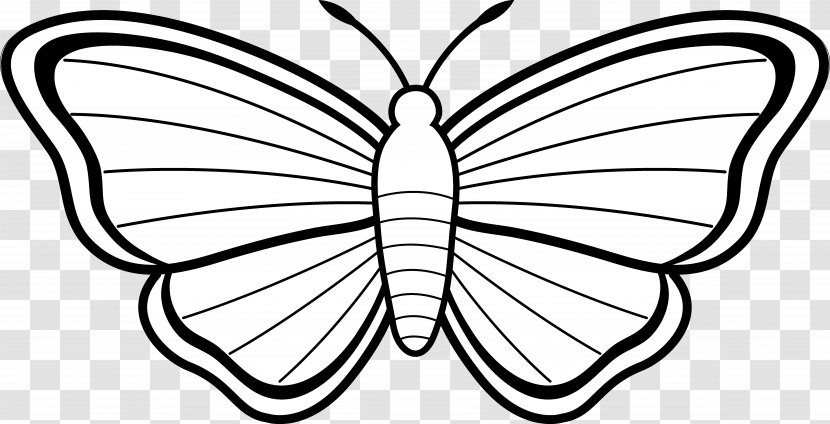 Monarch Butterfly Coloring Book Drawing Clip Art - Artwork Transparent PNG