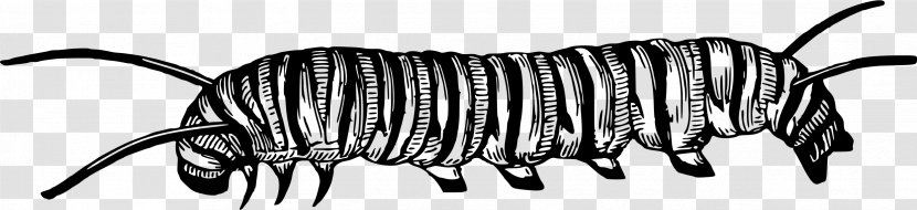Caterpillar Black And White Clip Art - Neck Transparent PNG