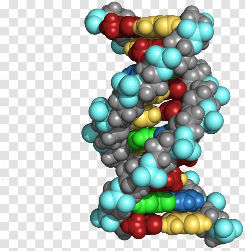 The Double Helix: A Personal Account Of Discovery Structure DNA Molecular Biology Book Writing - Molecule Transparent PNG