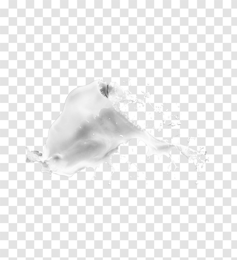 Cows Milk Dairy Product - Stock Photography Transparent PNG