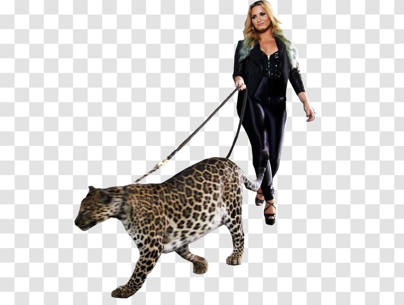 puma cheetah