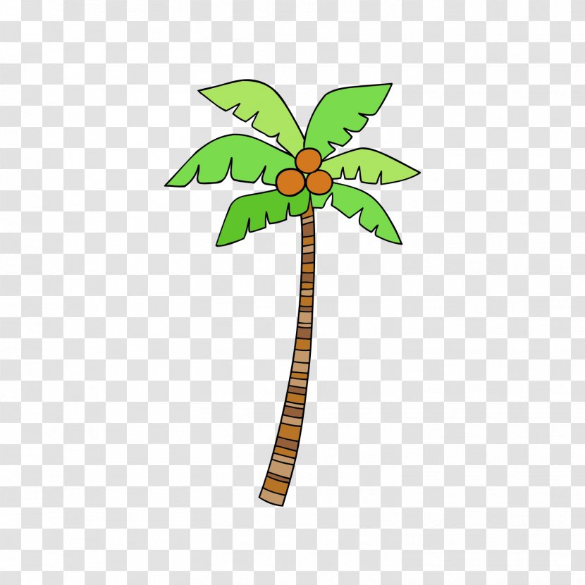 Euclidean Vector Coconut - Flowering Plant - Tree Transparent PNG