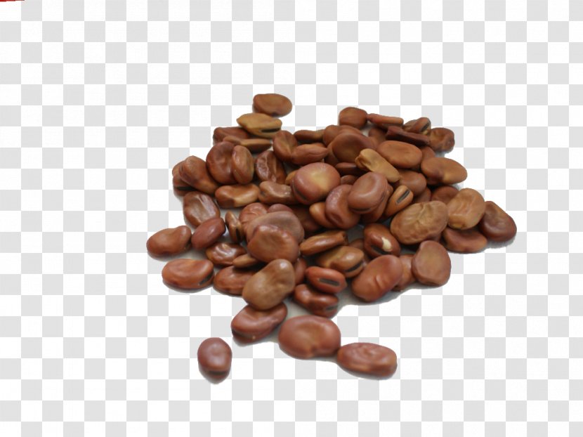 Cocoa Bean Chocolate-coated Peanut Legumes Jamaican Blue Mountain Coffee - Commodity - Grah Transparent PNG