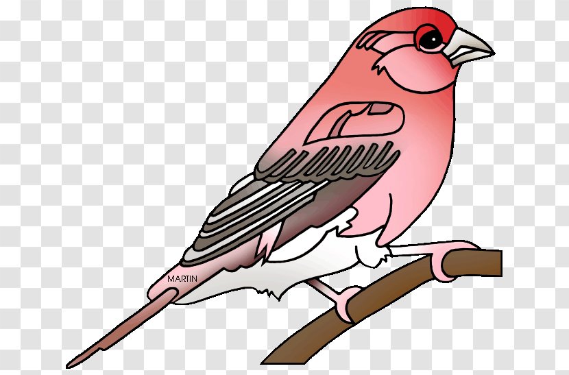 Finches Purple Finch Zebra Clip Art Transparent PNG