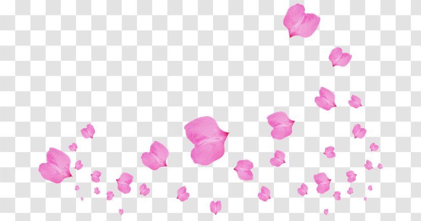 Petal Flower Clip Art - Garden Roses Transparent PNG