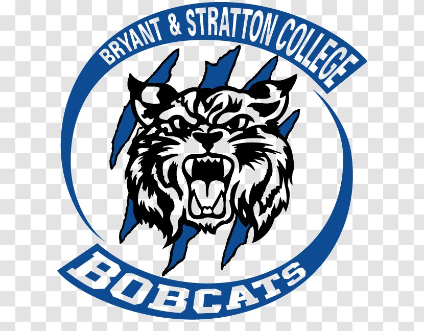 Bryant And Stratton College Richard Bland Community Of Baltimore County Harford Louisburg - Brand - Baseball Transparent PNG
