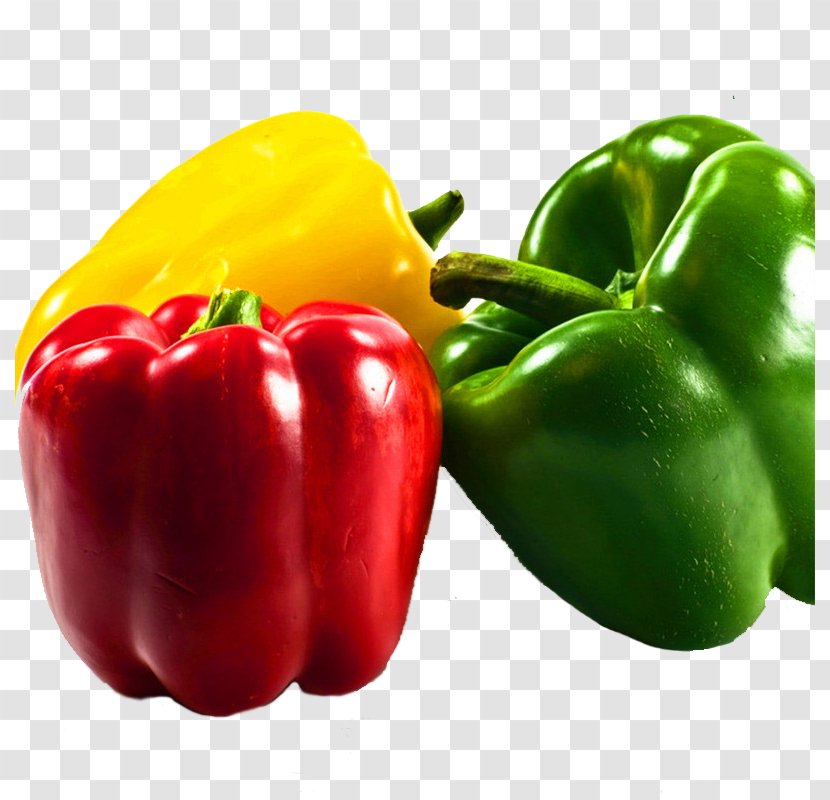 Bell Pepper Fruit Chili Pungency Spice - Serrano - Multicolor Vegetables Transparent PNG