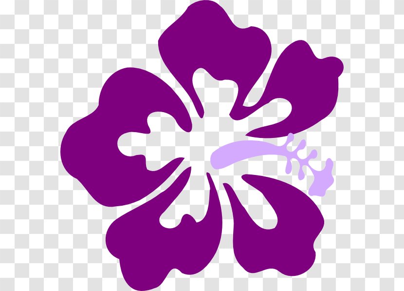 Hibiscus Schizopetalus Alyogyne Huegelii Hawaiian Clip Art - Violet - Lavender Cliparts Transparent PNG
