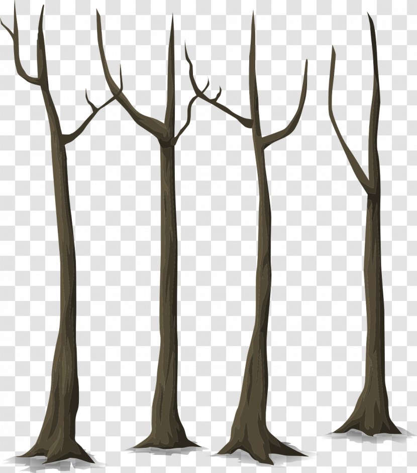Martha And Mitch Twig Charlie Chumpkins The Secret Of Pooks Wood Trunk - Forest - Tree Transparent PNG
