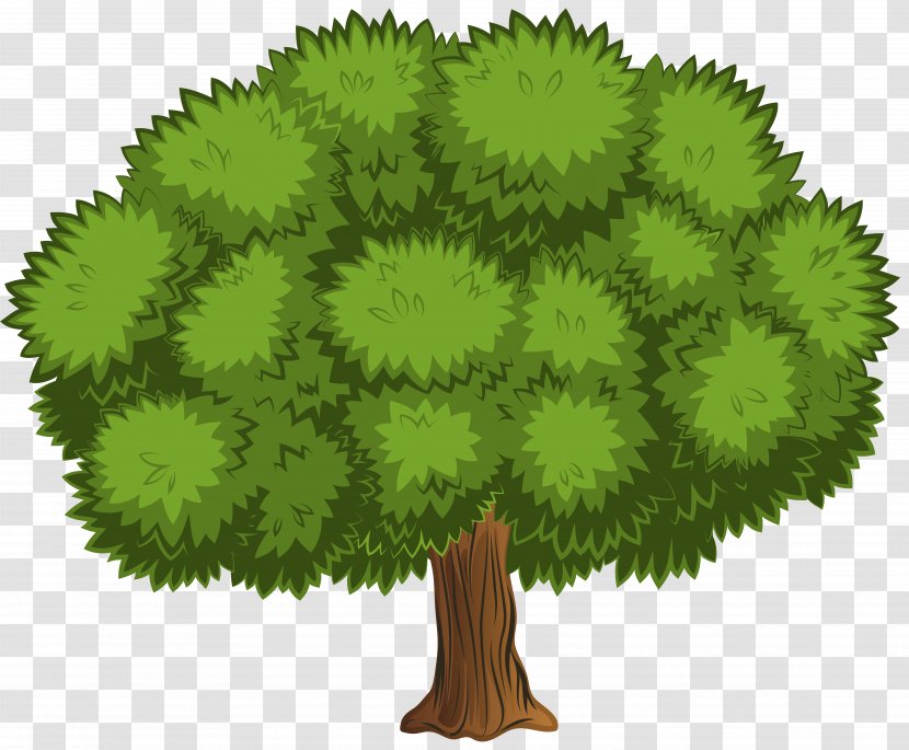 Tree Shrub Clip Art Transparent PNG