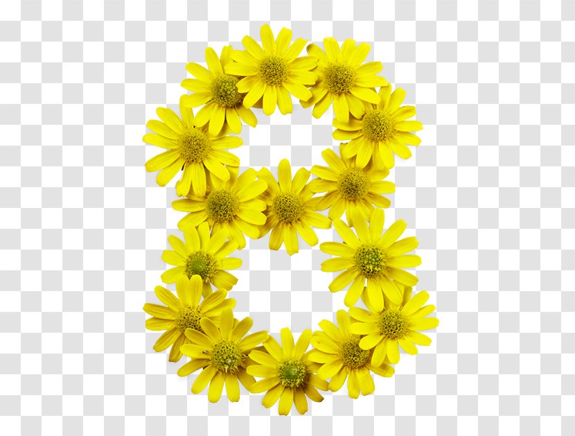 Sunflower - Chamomile - Daisy Family Transparent PNG