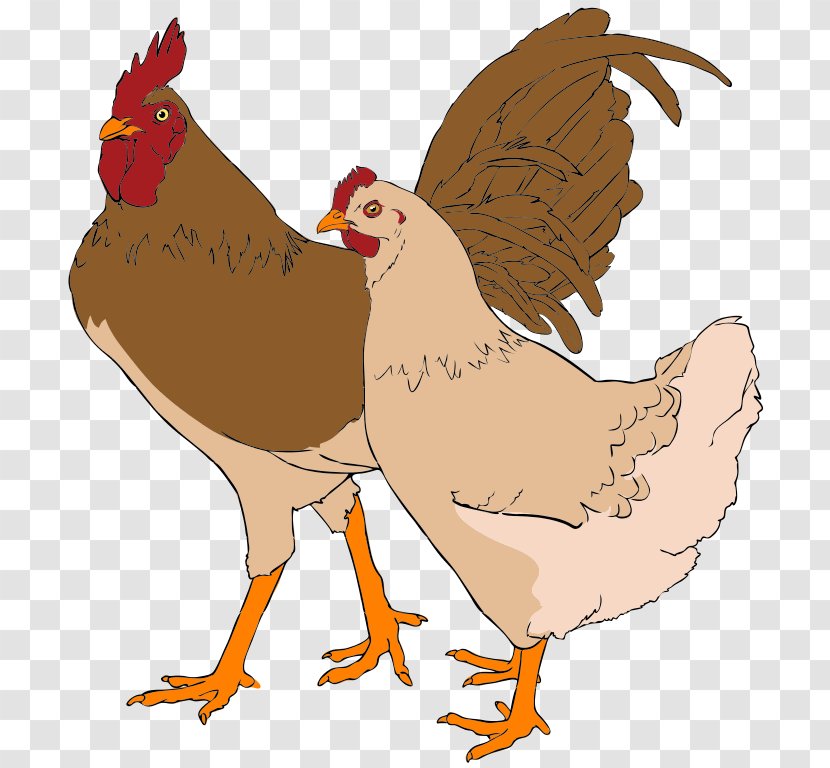 Chicken Rooster Clip Art - Wikimedia Commons - Picture Of A Transparent PNG