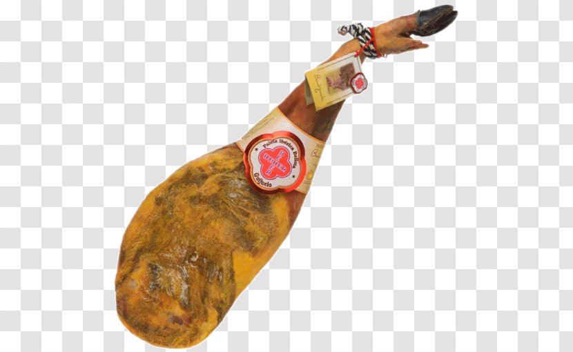 Jamon - Cartoon - Flower Transparent PNG