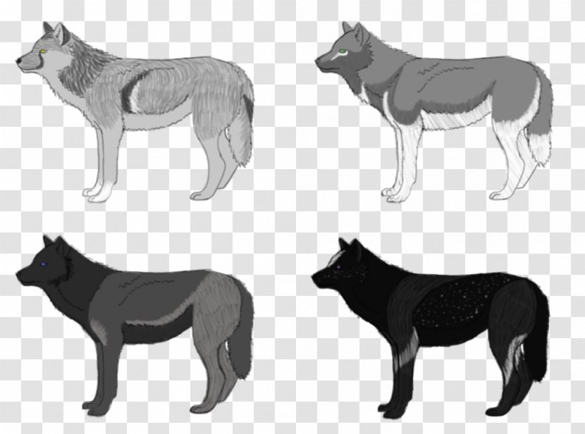 Dog Breed Drawing Fauna /m/02csf - Mammal - K9 Transparent PNG