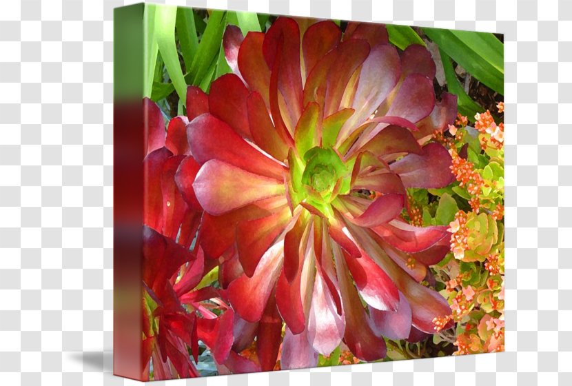 Succulent Plant Fine Art Printmaking Garden - Border Transparent PNG