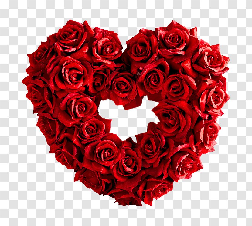 Garden Roses Heart Red Valentines Day - Petal - Rose Love Transparent PNG
