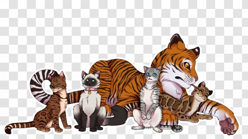 Tiger Big Cat Wildlife Animal - Cats Transparent PNG