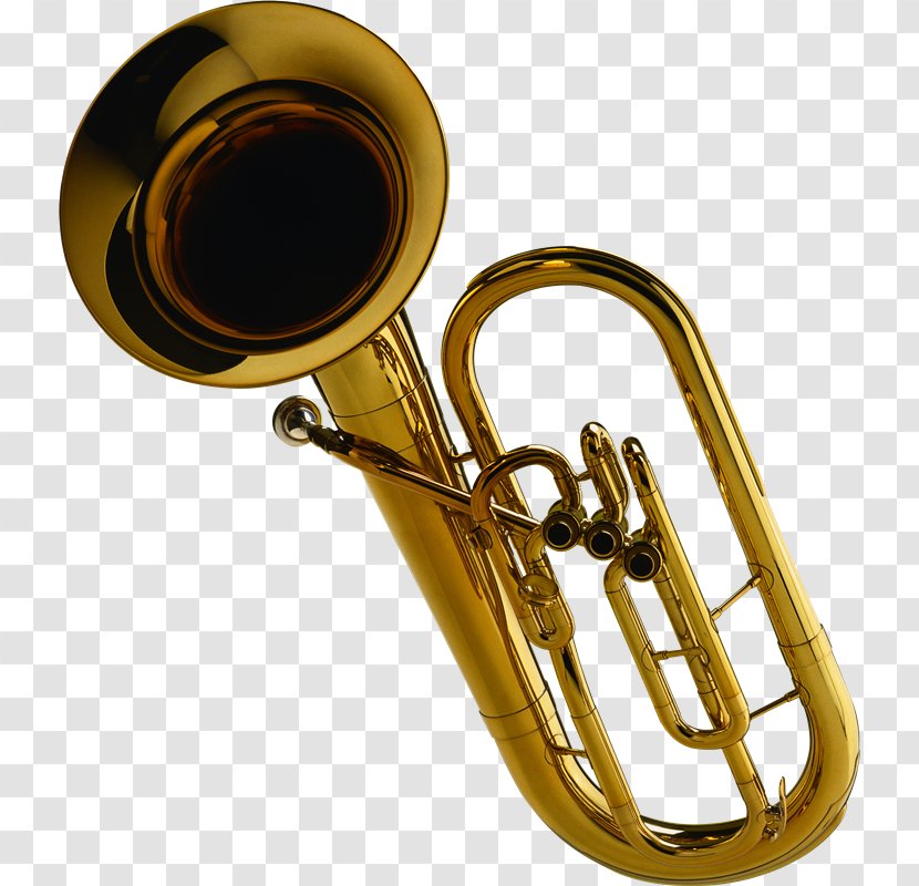 Brass Instruments Wind Instrument Musical Trombone Orchestra - Flower Transparent PNG