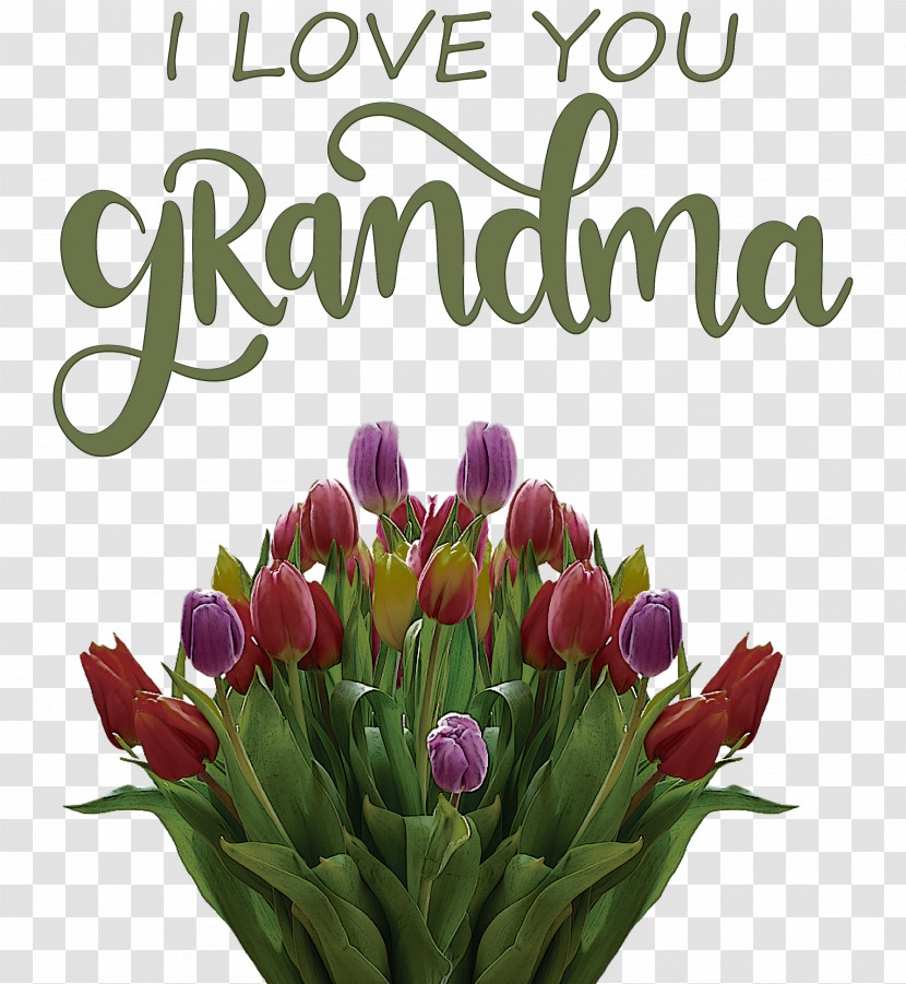 Grandmothers Day Grandma Transparent PNG