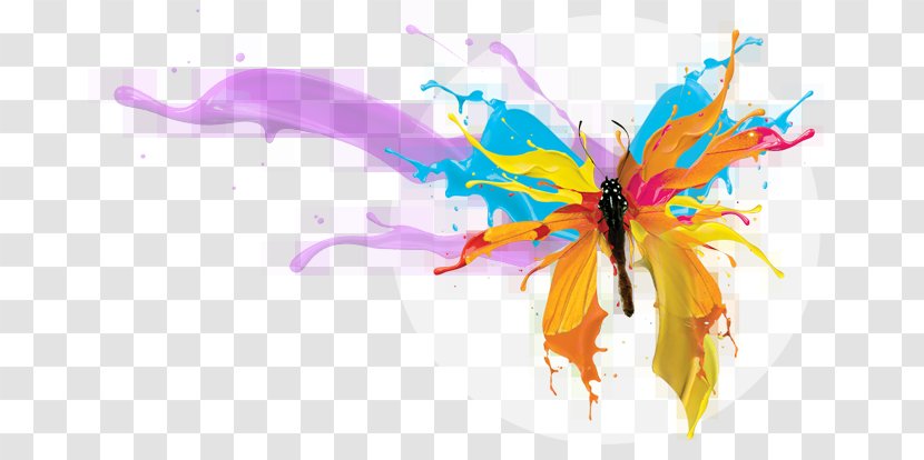 Web Design Advertising Poligrafia Photography - Butterfly Transparent PNG