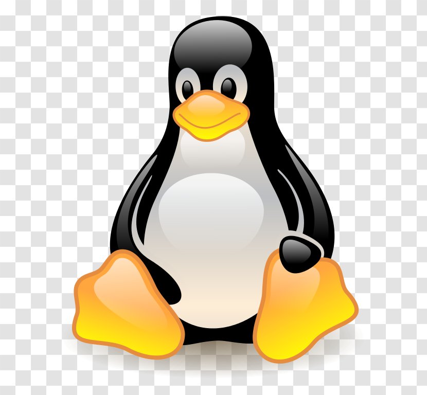 Penguin Linux Tux Computer Software Clip Art - Flightless Bird - Svg Gallery Transparent PNG