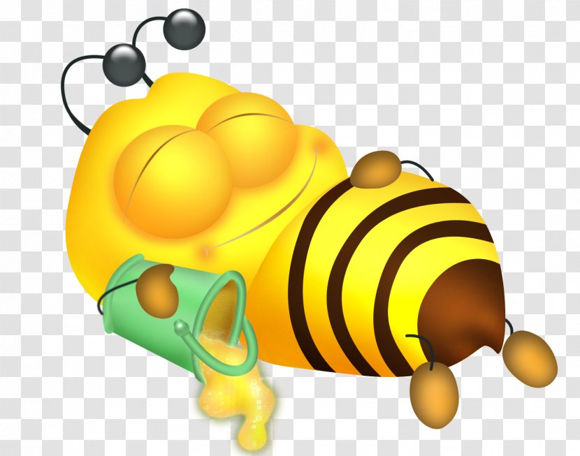 Honey Bee Insect Cartoon Clip Art - Drawing Transparent PNG