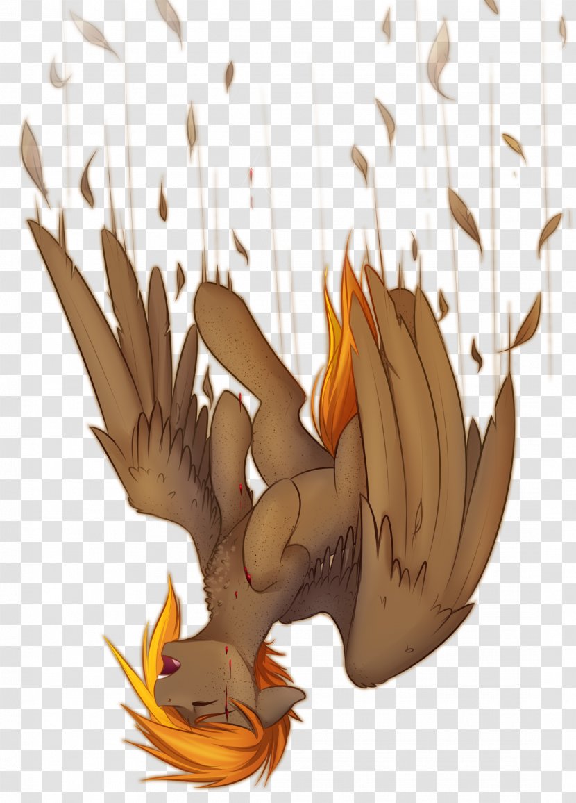 Feather Chicken Bird Beak - Drawing - Falling Transparent PNG