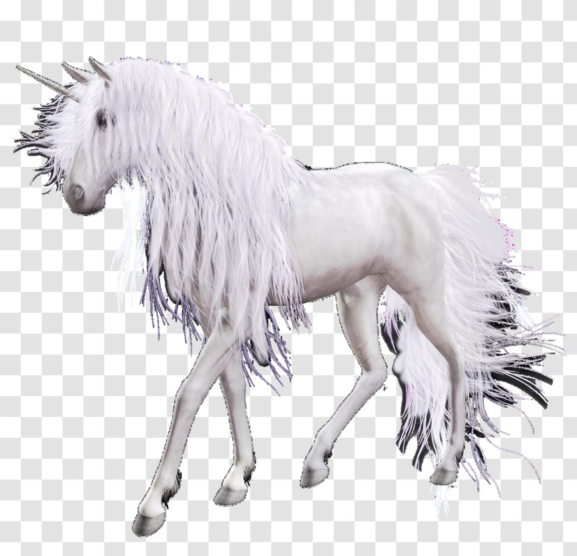 Unicorn Cartoon - Mare - Stallion Transparent PNG