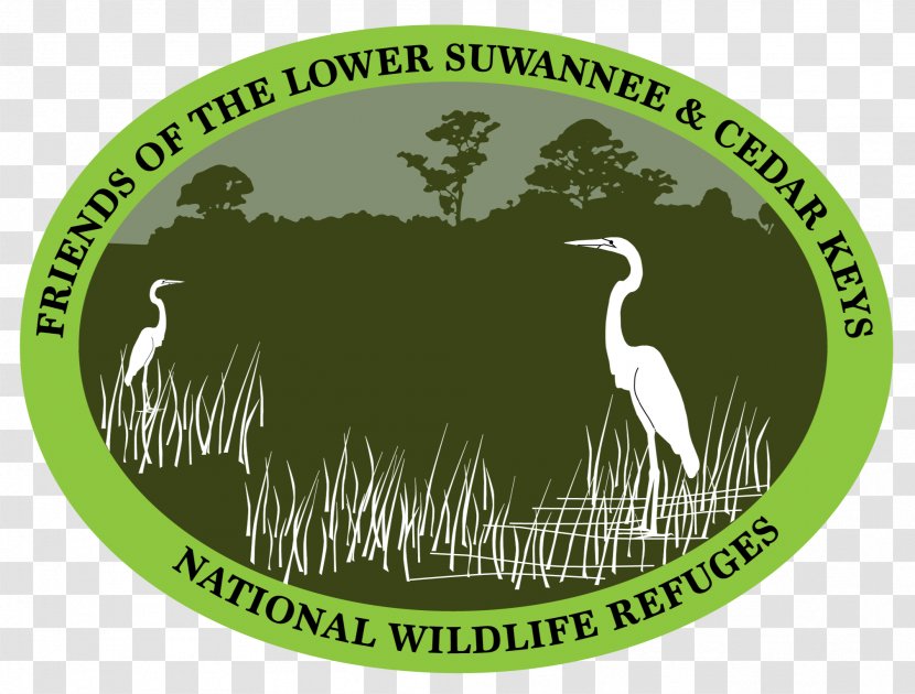 Lower Suwannee National Wildlife Refuge Cedar Keys River Suwannee, Florida Transparent PNG