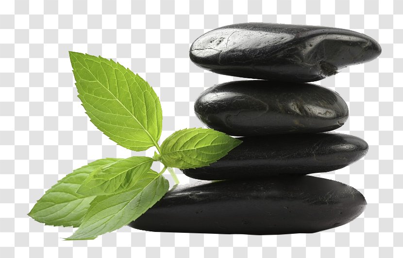 Rock Pebble Leaf Stone Massage Photography - Green - A Life Pushed On Black Transparent PNG