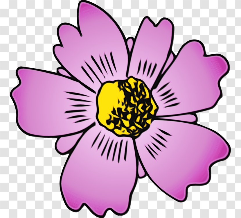 Flowering Plant Flower Petal Pink - Magenta Wildflower Transparent PNG