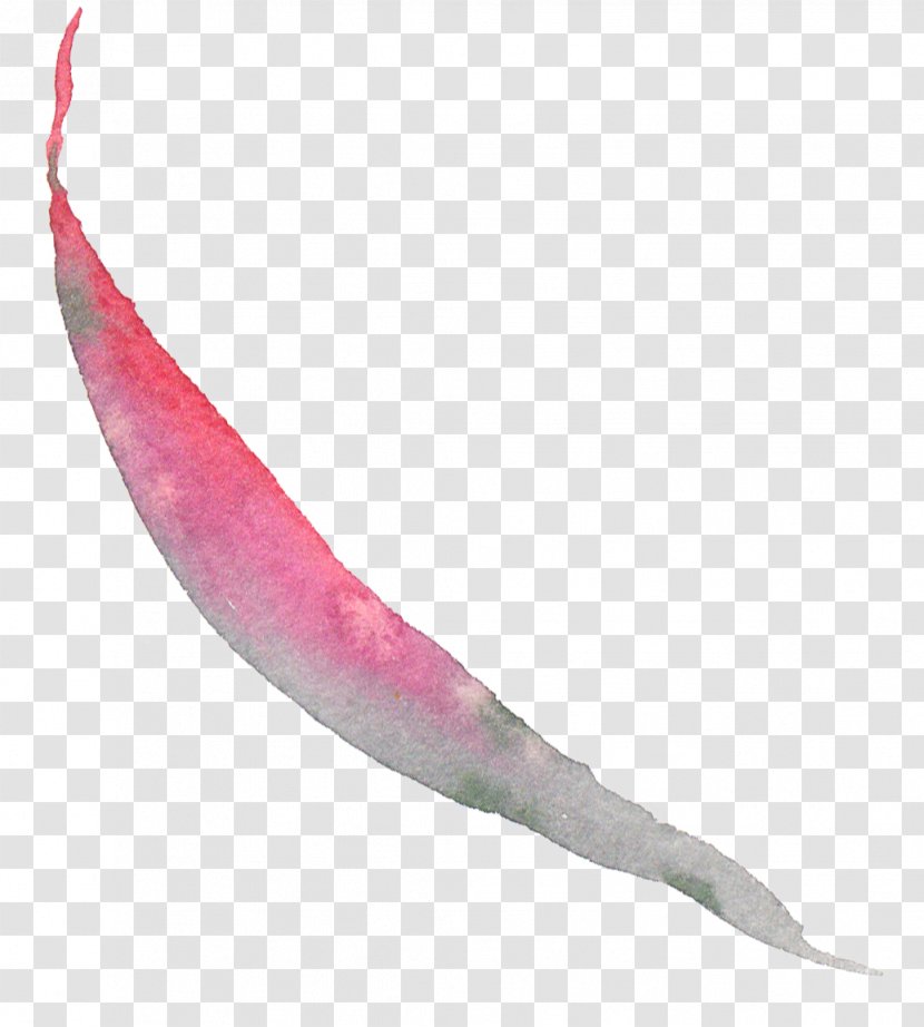 Pink M Fish - Autumn Leaves Watercolor Transparent PNG
