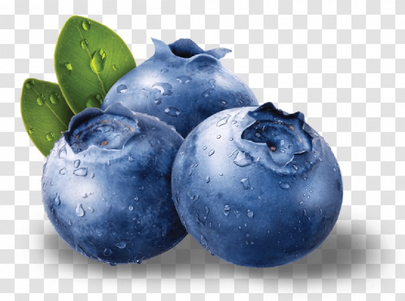 Blueberry Muffin - Blue Raspberry Flavor - Blueberries Transparent PNG