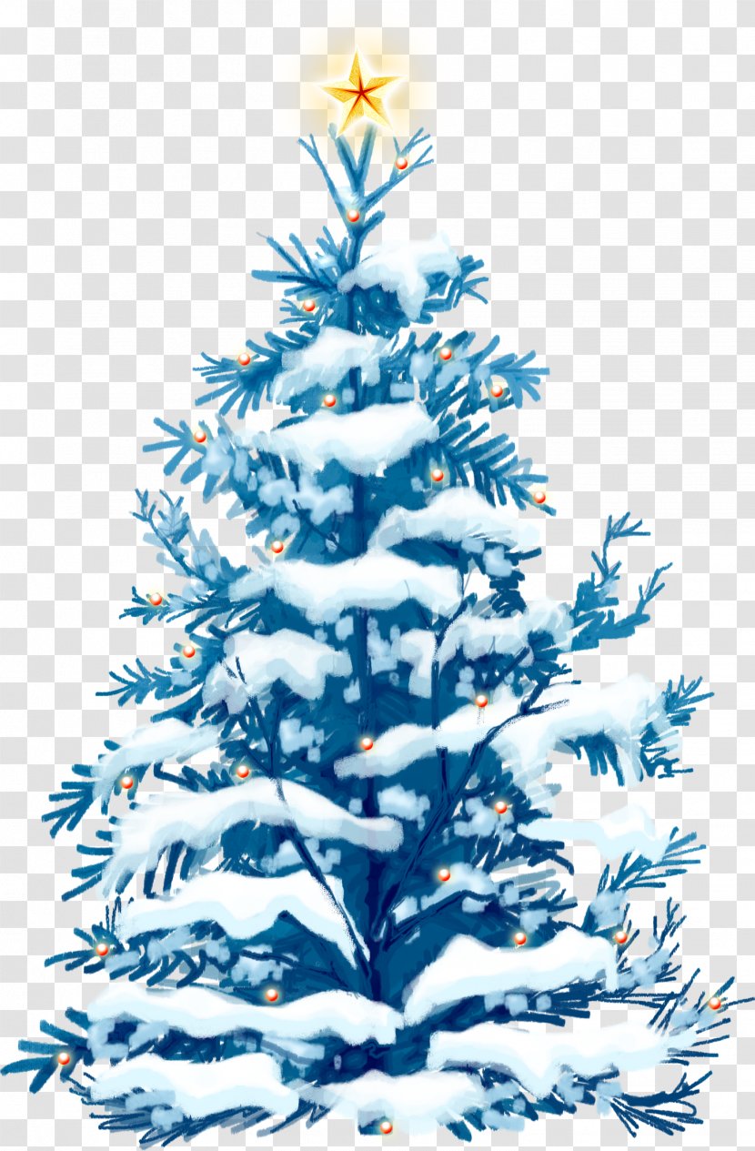 Christmas Ornament Decoration Spruce Tree Fir - Pine - Chris Transparent PNG