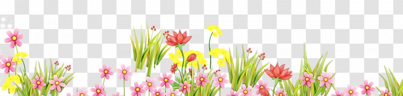 Floral Spring Flowers - Cut - Design Transparent PNG