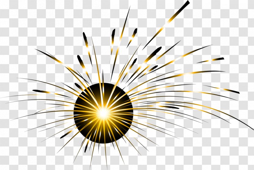 Light Fireworks Pyrotechnics - Dream Golden Halo Transparent PNG