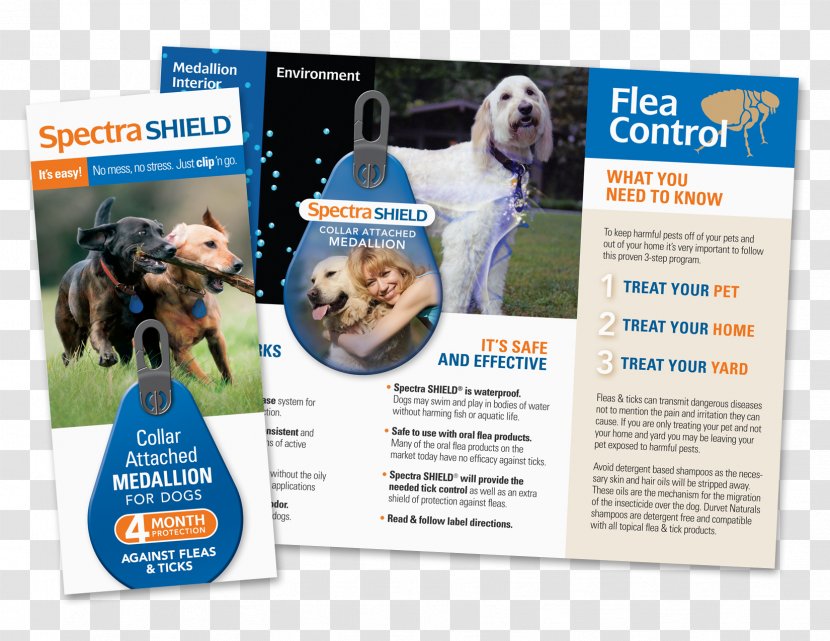 Dog Breed Advertising Brand Product - Education Brochure Transparent PNG