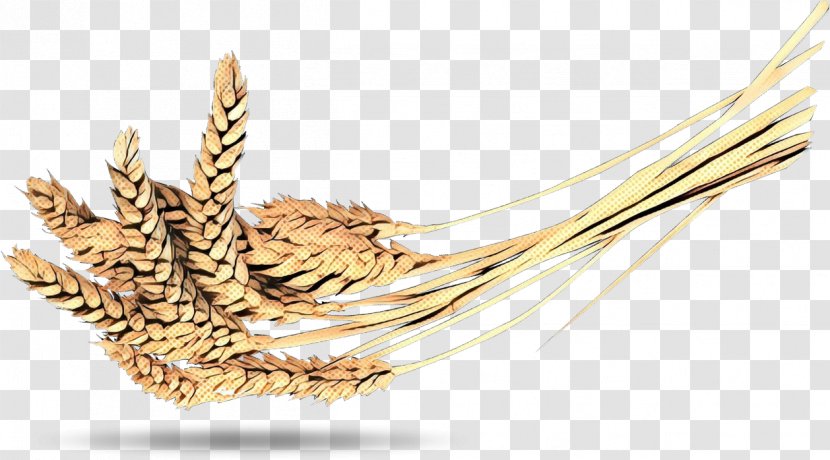 Wheat Cartoon - Grasses - Gluten Transparent PNG