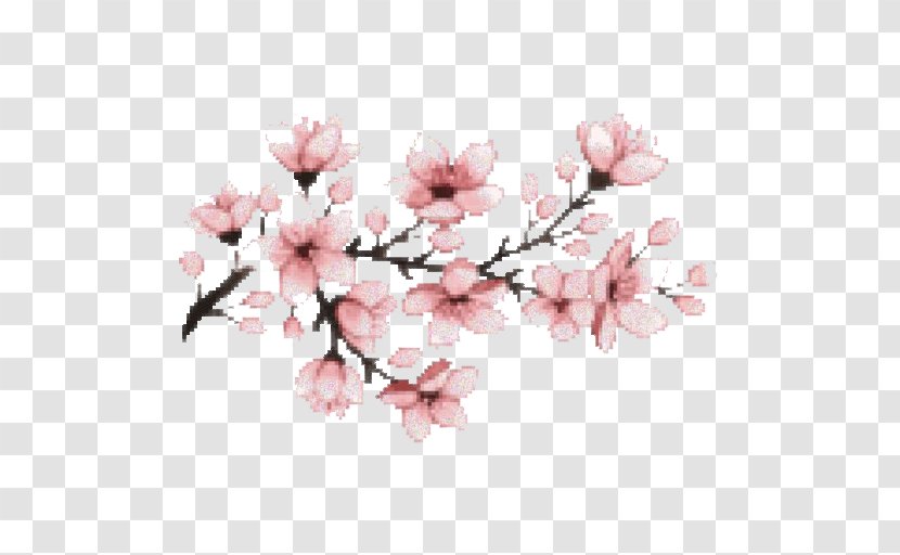 National Cherry Blossom Festival Flower Transparent PNG
